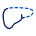 liver-health.svg
